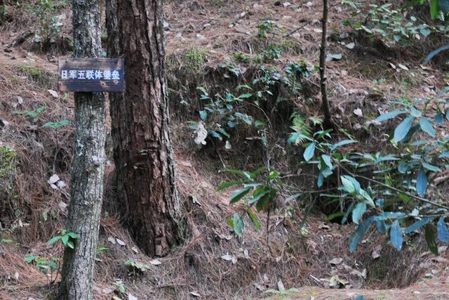 从北京自驾到云南 感受抗战之九：龙陵与松山