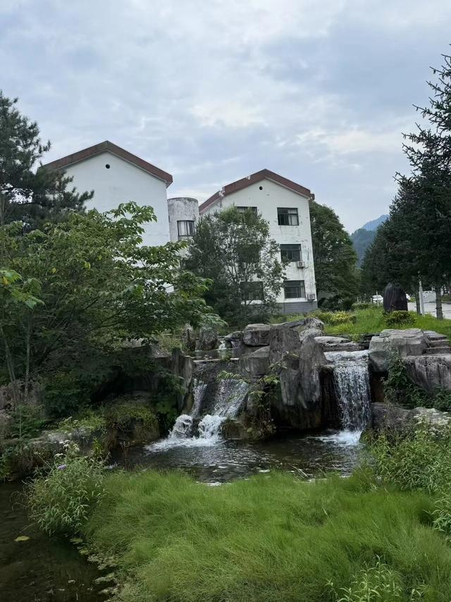 林壑听涛逢旧雨 溪声松语话流年