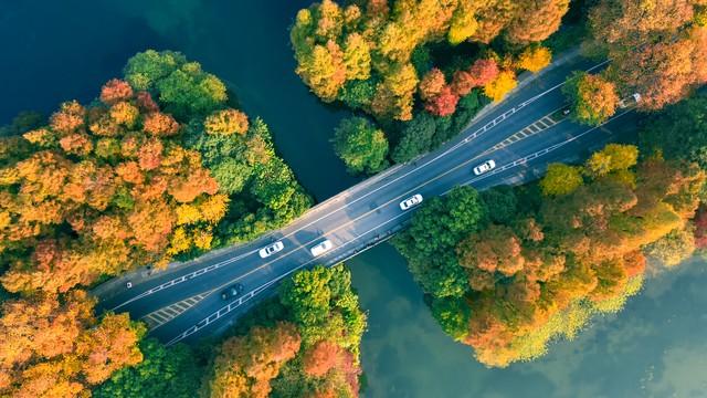 浙江深秋封神路线！红叶、银杏、古寺藏禅，承包江南最绝秋景！