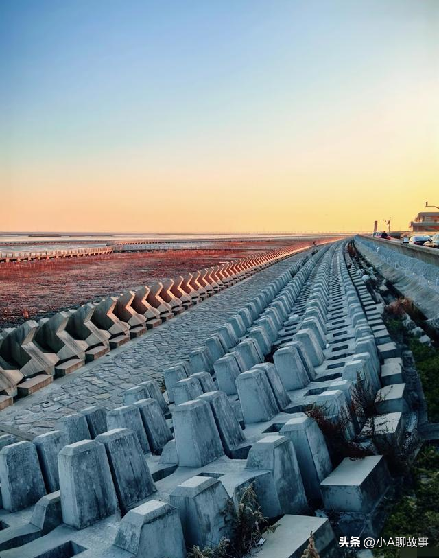 我是上海人，刚从南汇回来，这5个疑问在心里绕了好久。