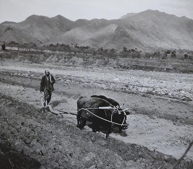 1970年老人去部队看儿子被哨兵拦下，老人：让你们师长跑步来见我