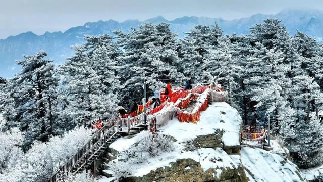 雪中华山美出圈，腊八热粥暖到心坎！