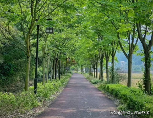 是时候来一趟杭州“避世”景点了，抽个双休，来骑行欣赏星空吧！
