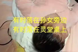 人死后真的会变成蝴蝶回来看看家人吗？图片
