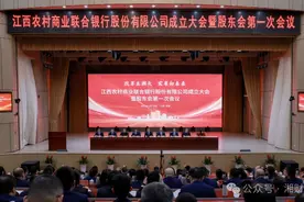 斥资75亿设立江西农商联合银行，发起人是什么来头、资金从何而来图片