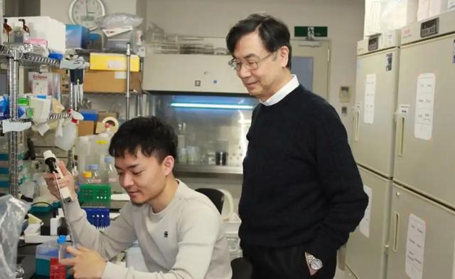 2025诺奖医学奖爆冷，日本教授破解免疫之谜，最终拿下诺奖