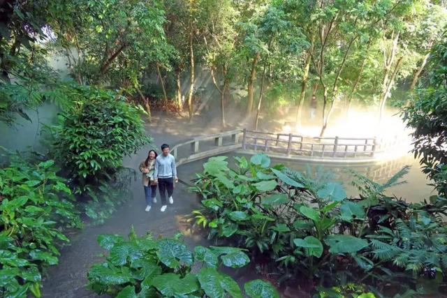 重磅！最高奖励50万元！细则来了→