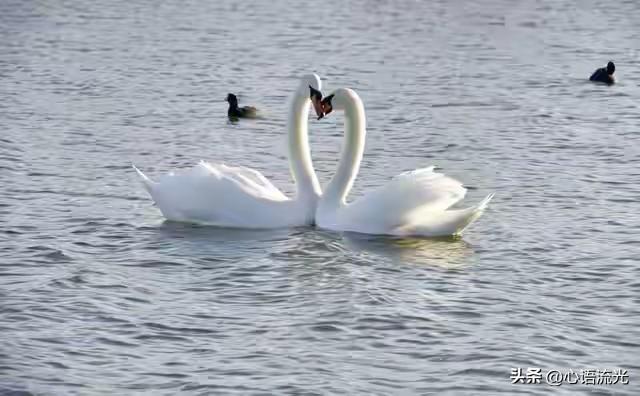 听我一句劝，旅居一定要坚持10大原则，这是我多年的旅居经验！