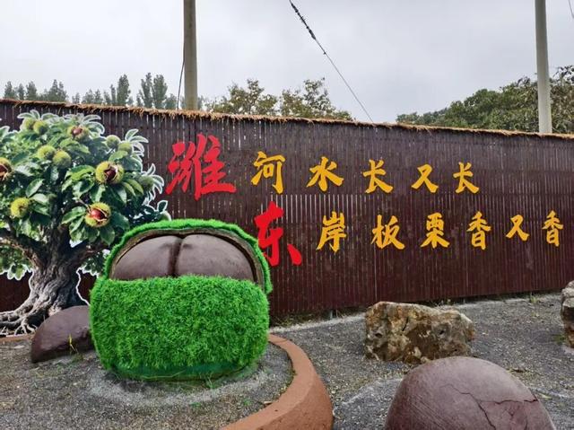 诸城镇街风采录——昌城镇