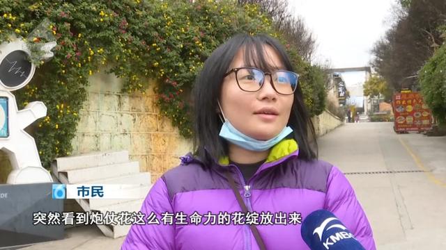 这片被暖意点“燃”的打卡地,满满的生命力!