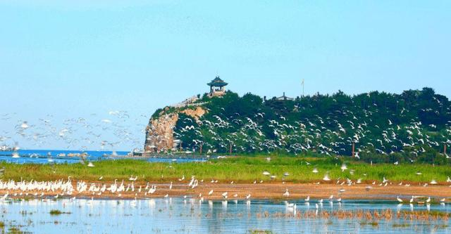 河北人口最少的地级市，面积比邢台、邯郸小，常住人口不足350万