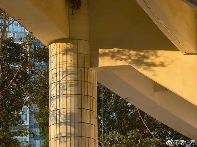 除了“YYDS”，我们还可以这样夸仁寿