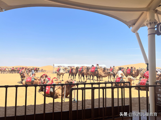 暑假的尾巴，逃离40°的城市，我去了个超“冷门”避暑地