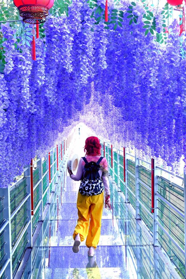 奇峰荷韵间的山水浪漫诗