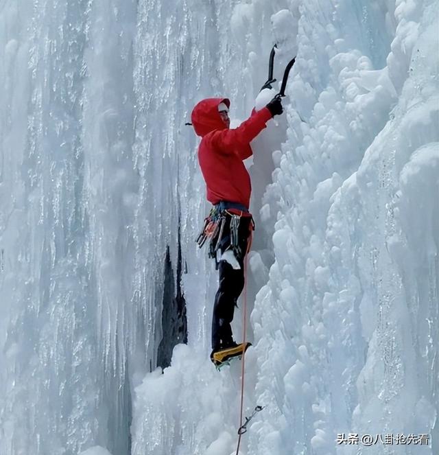 央媒怒批、目不识丁，这几位德不配位的“文盲”明星，凭啥走红