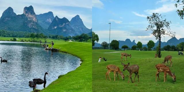 赛事福利丨参赛选手可享景区优惠！畅游桂林！