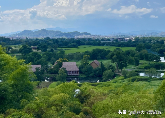 来杭州古城秋日周末发呆吧，这里可去班味撒欢儿，遛娃观鹿寻古！