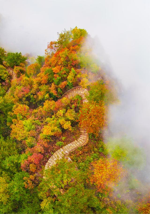 半山云海半山秋色