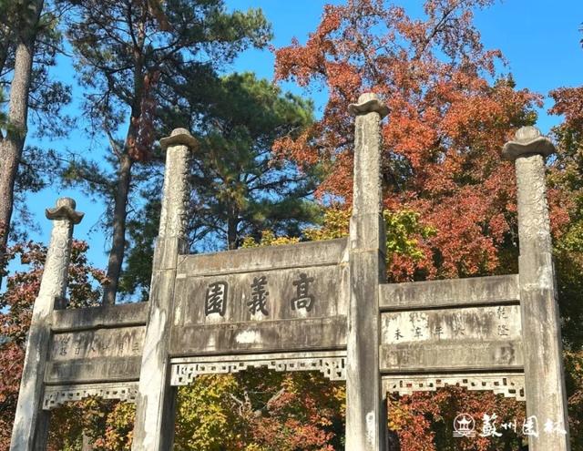 天平山红枫正式迈入最佳观赏期，美！