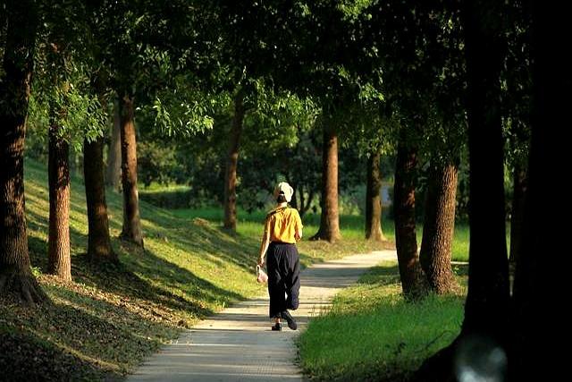 慢跑和寿命长短有什么关系？60岁以后！这样的运动刚刚好