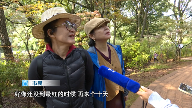 春城的秋天是什么颜色？来黑龙潭，给你一片火红的答案