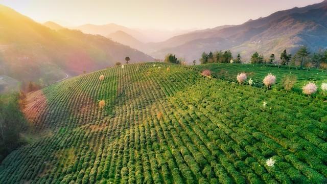 96年洪水冲垮了村子，我和女老师被困在山洞里，度过了三天三夜