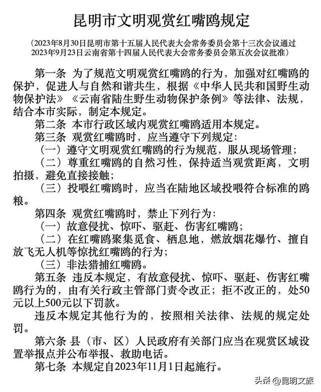 昆明人私藏观鸥地图+观杏！滴滴6折立减35元打车券直接薅