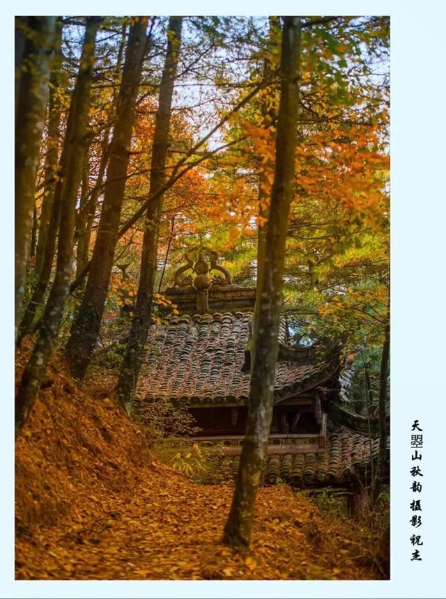 利州＝梦幻秋色打卡地