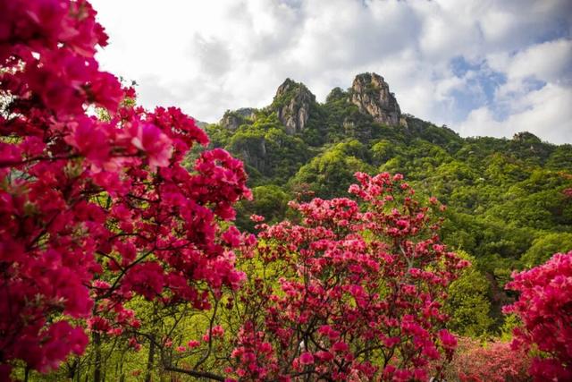 汝阳县简况