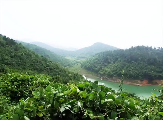 常德津市市一日游十大必去旅游景点