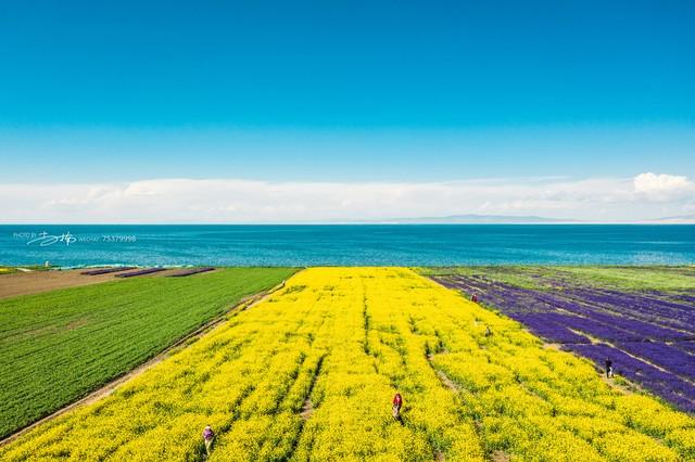 中国10分美，7分在西北！西北最值得去的20个地方，你去过几个？