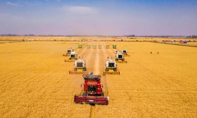 老王坡实现蝶变的密码是什么？