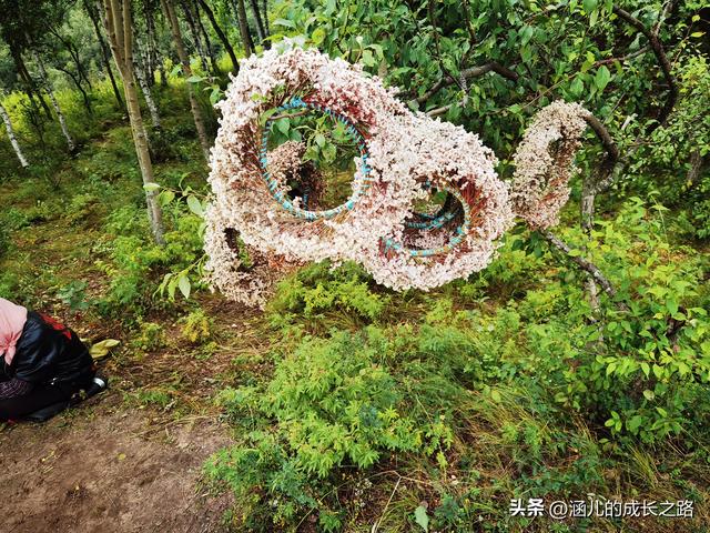 总要去趟草原吧！自驾塞罕坝和乌兰布统超简攻略（附图超全）