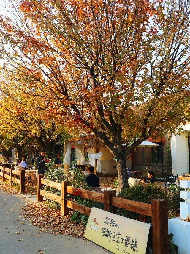 出片率UP！UP！UP！潍坊这里好美啊！