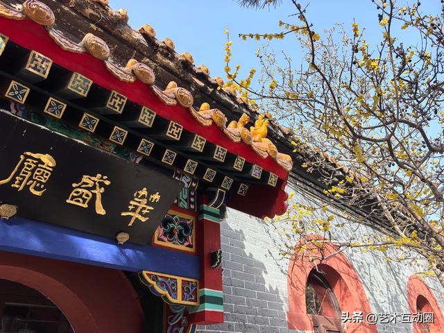 十方院赏腊梅 沉醉古韵幽香