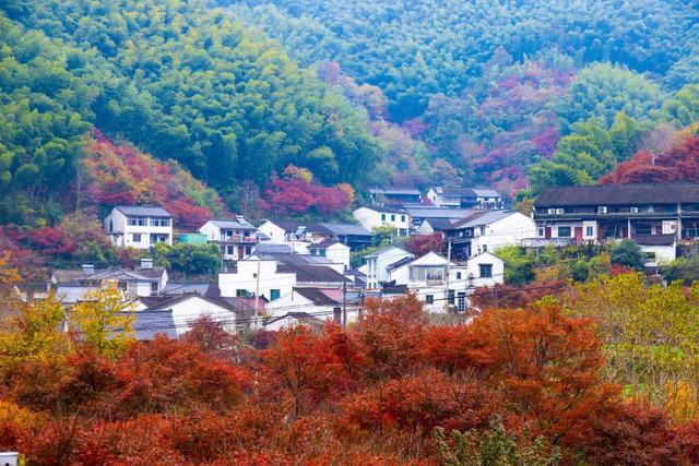 宁波四明山，成了“油画”
