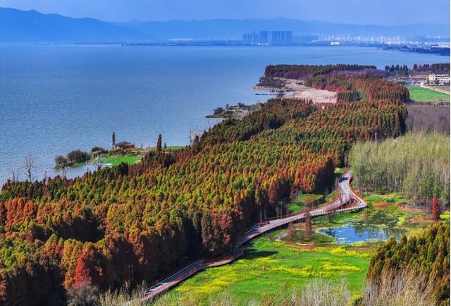 昆明冬日顶流回归！约起！