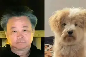 莫言和余华的微信头像火了！网友：哈哈哈哈图片