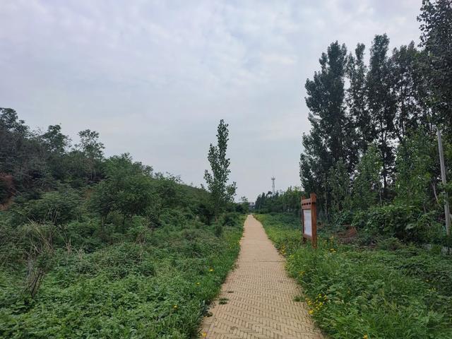 章丘龙山平陵城古城墙，位列国保的遗址公园。