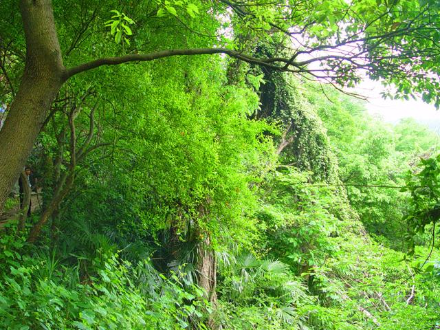 江西旅游：难忘九江石钟山怀古记（图）