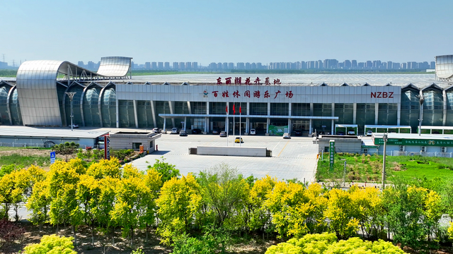 花海迎客 东丽湖花卉基地成为五一假期热门地