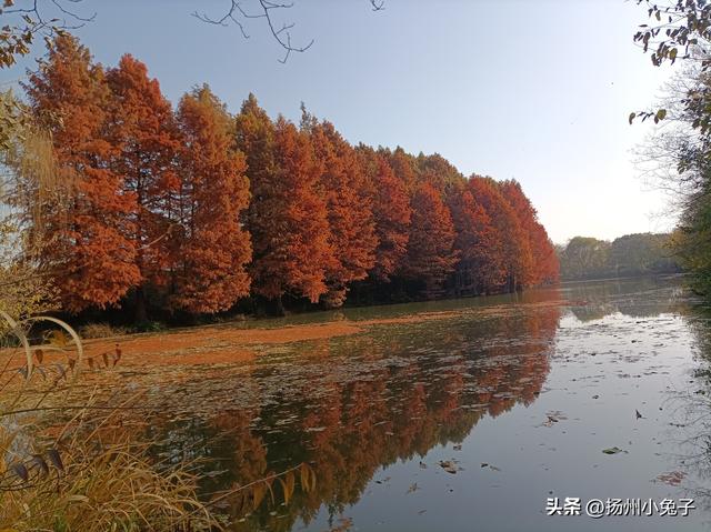 扬州，什么季节最美？