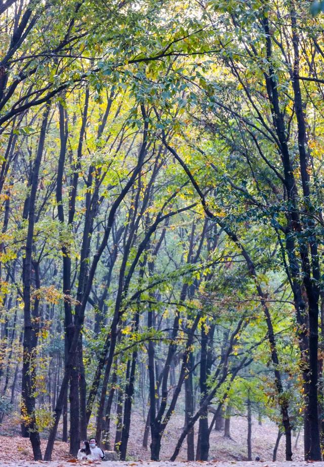 光谷8条私藏跑步路线，资深跑友力荐，每条都有独特魅力