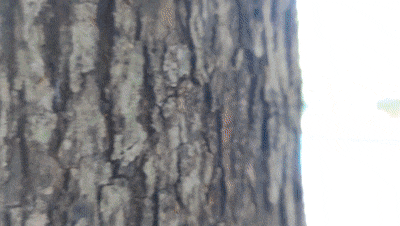 跟着赛事游遵义 │ 冬季文旅“四件套”之温泉！解锁播州暖身又暖心的“养生趴”