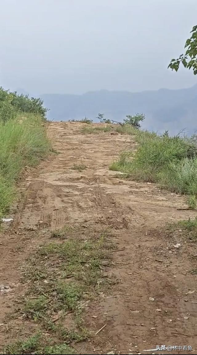 走遍石板岩之上坪南背自然村