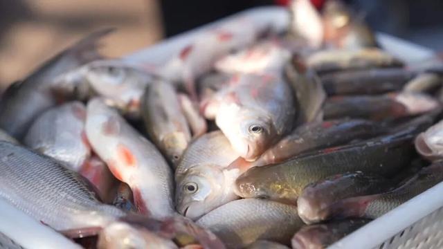 额尔古纳冰雪欢乐季第三届中俄界河冰钓活动 冬季旅游新IP