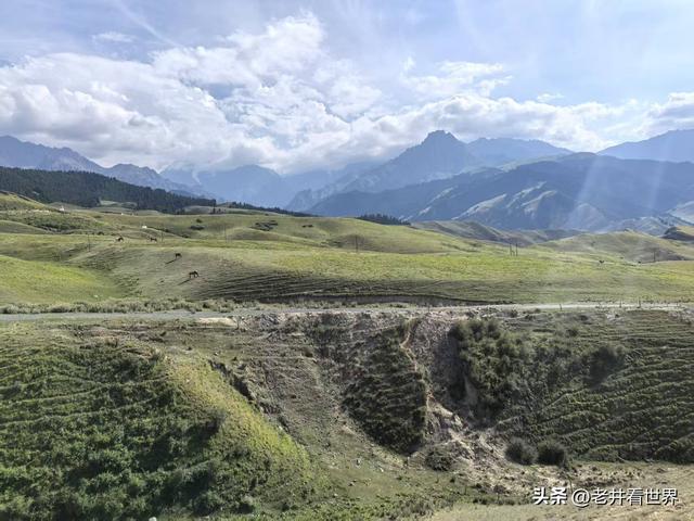 独库公路记忆 || 井明新