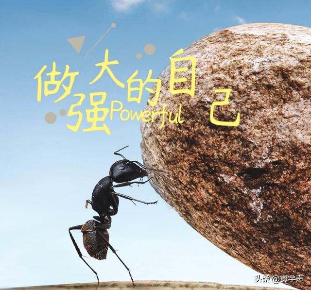低谷不是绝路，悟透经历自会坦然，无敌心态：要么得到，要么学到