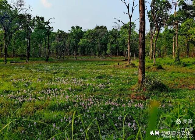 曾省伶||群山雪岭中的神灵之地——尼泊尔（上）