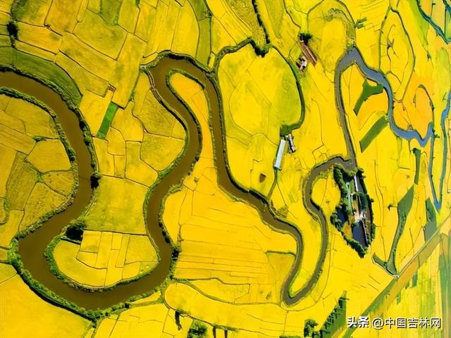 吉林省生态文明建设成果宣传展专题上线，共赏吉林绿色发展新画卷